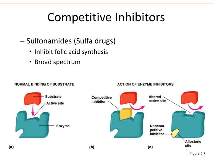 PPT - Antimicrobial Drugs PowerPoint Presentation - ID:268566