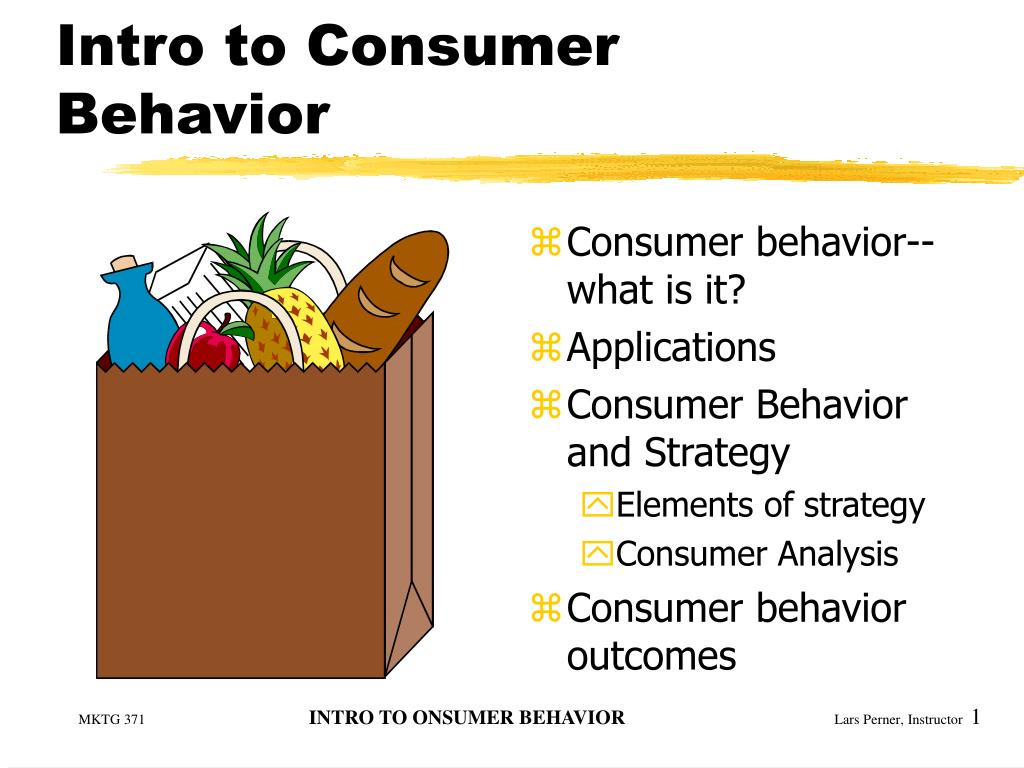 consumer behavior presentation research