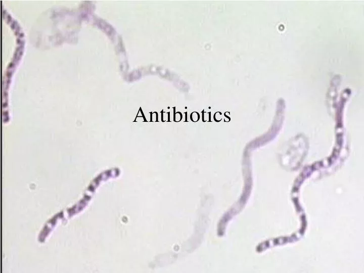 antibiotics n.
