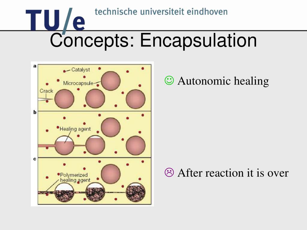 PPT Selfhealing materials PowerPoint Presentation, free download