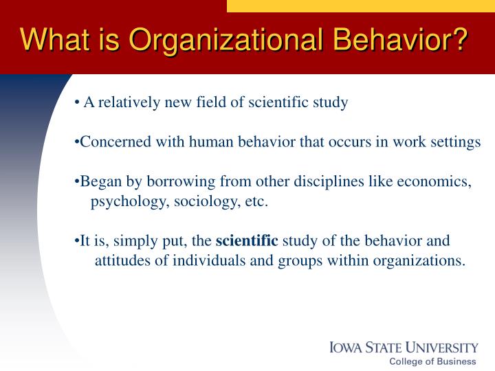 what is organizational behavior n.