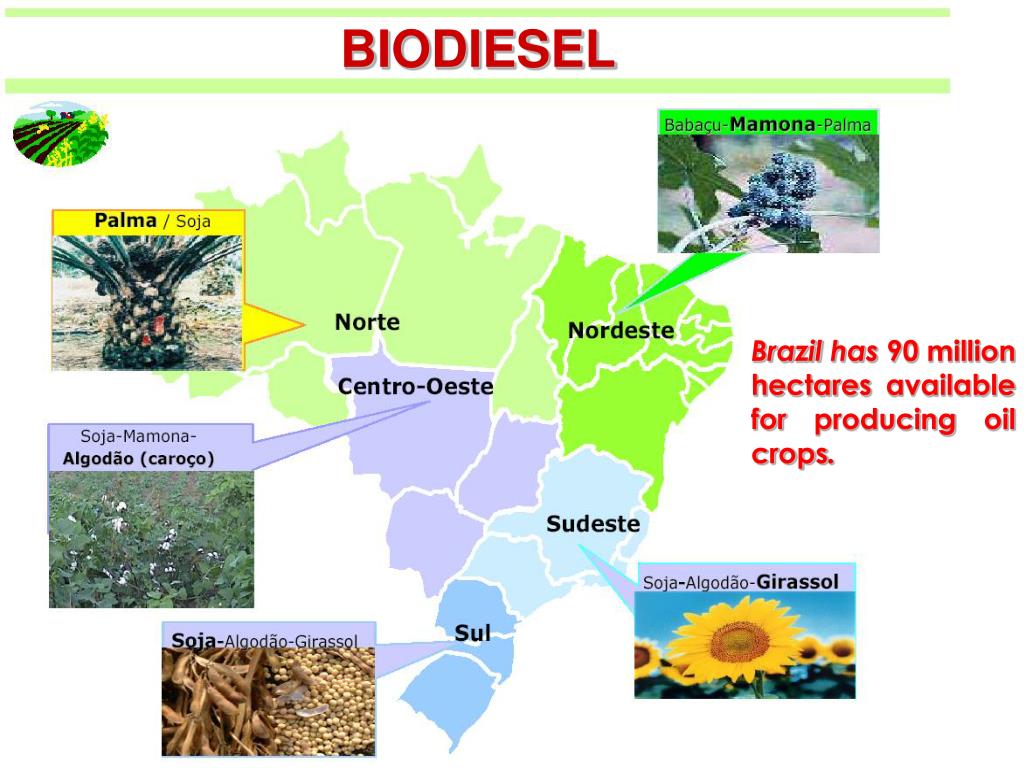 PPT - Biofuels in Brazil The Ethanol Experience PowerPoint ...