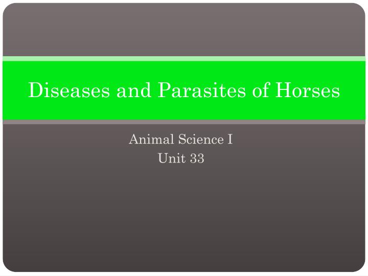 PPT - Diseases and Parasites of Horses PowerPoint Presentation, free  download - ID:270334