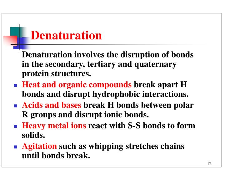 PPT Chapter 20 Amino Acids and Proteins PowerPoint Presentation ID