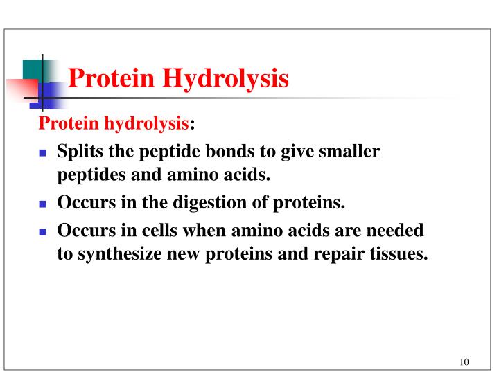 PPT Chapter 20 Amino Acids and Proteins PowerPoint Presentation ID