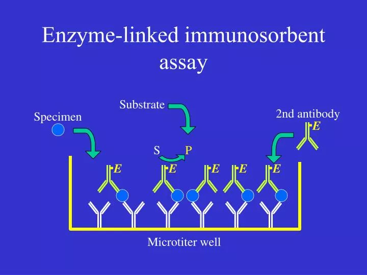 ppt-enzyme-linked-immunosorbent-assay-powerpoint-presentation-free