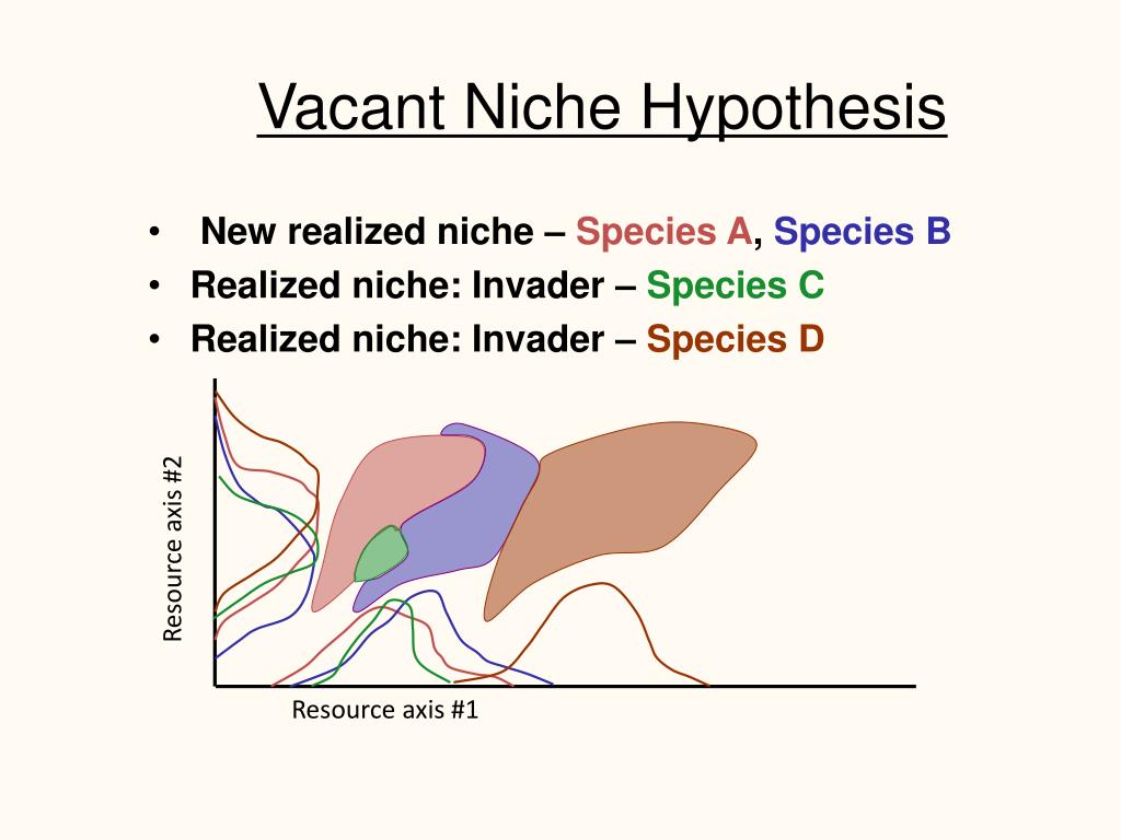 define niche variation hypothesis