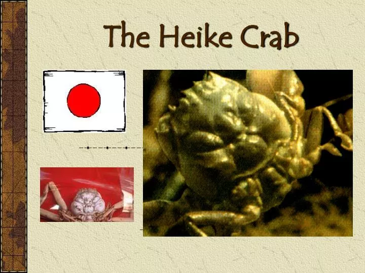 the heike crab n.