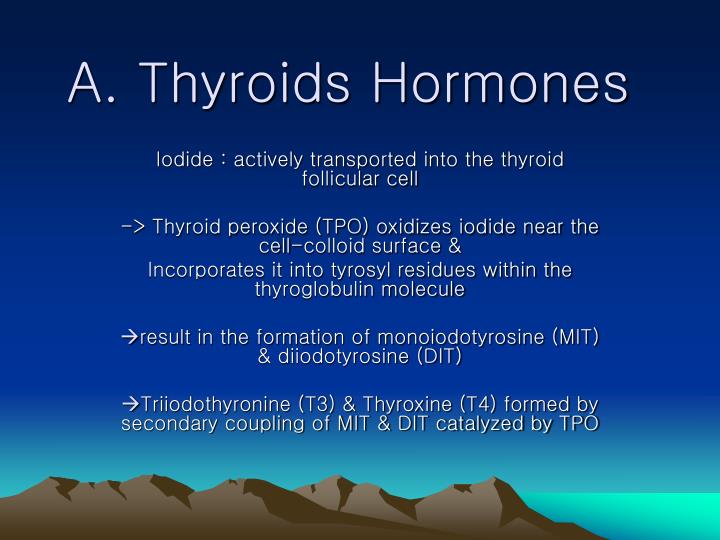 a thyroids hormones n.