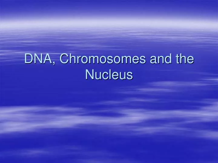 dna chromosomes and the nucleus n.