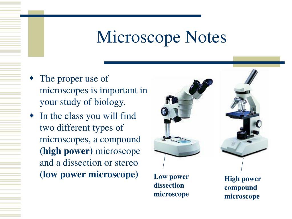 PPT - Microscope Notes PowerPoint Presentation, free download - ID:27346