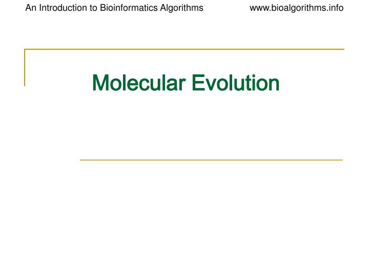 molecular evolution n.