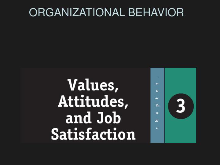 organizational behavior n.