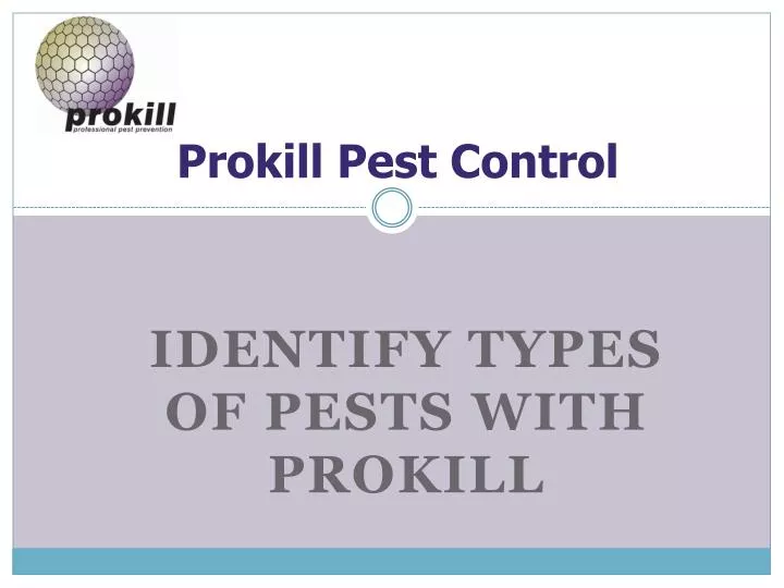 prokill pest control n.
