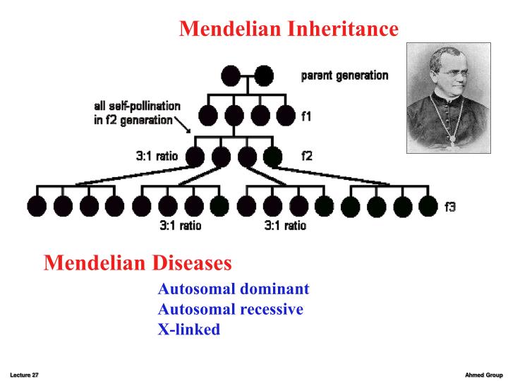 is genetic effects of radiation hereditary