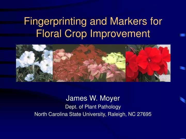 fingerprinting and markers for floral crop improvement n.