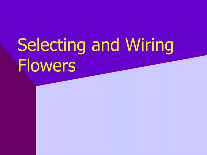 selecting and wiring flowers n.
