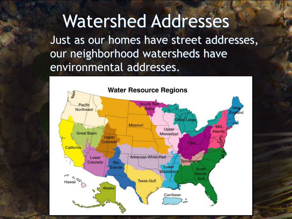 PPT WATERSHEDS PowerPoint Presentation Free Download ID 276071