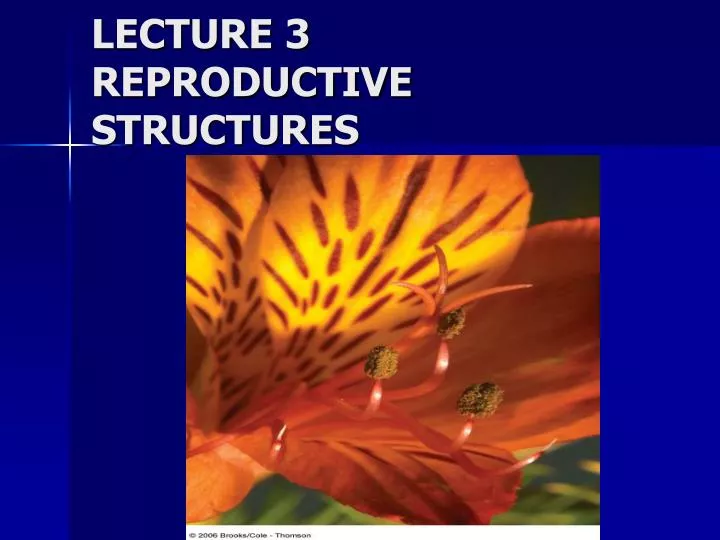 lecture 3 reproductive structures n.