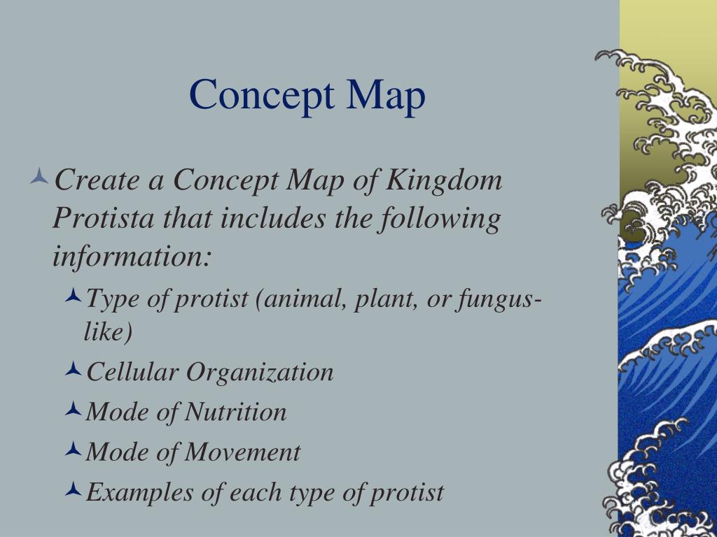 Kingdom Protista Concept Map