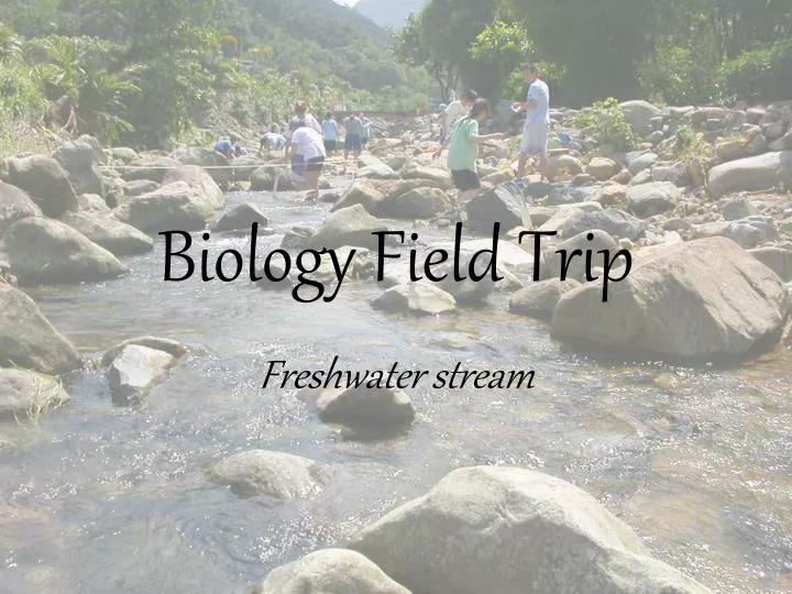 PPT Biology Field Trip PowerPoint Presentation, free download ID277550