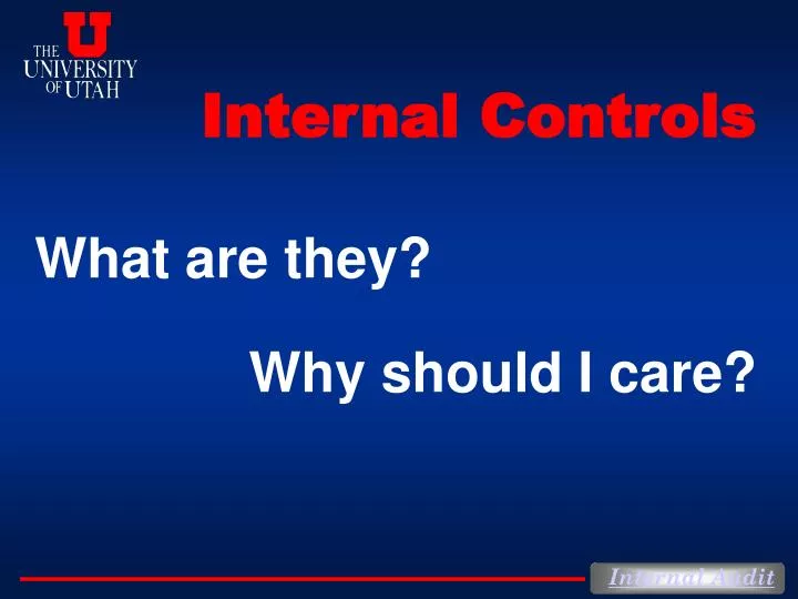 internal controls n.
