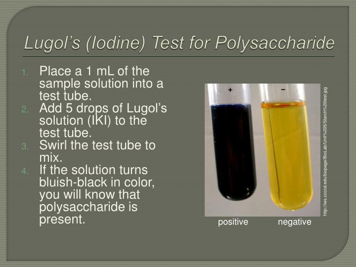 ppt t e sting for biological macromolecules powerpoint iki solution