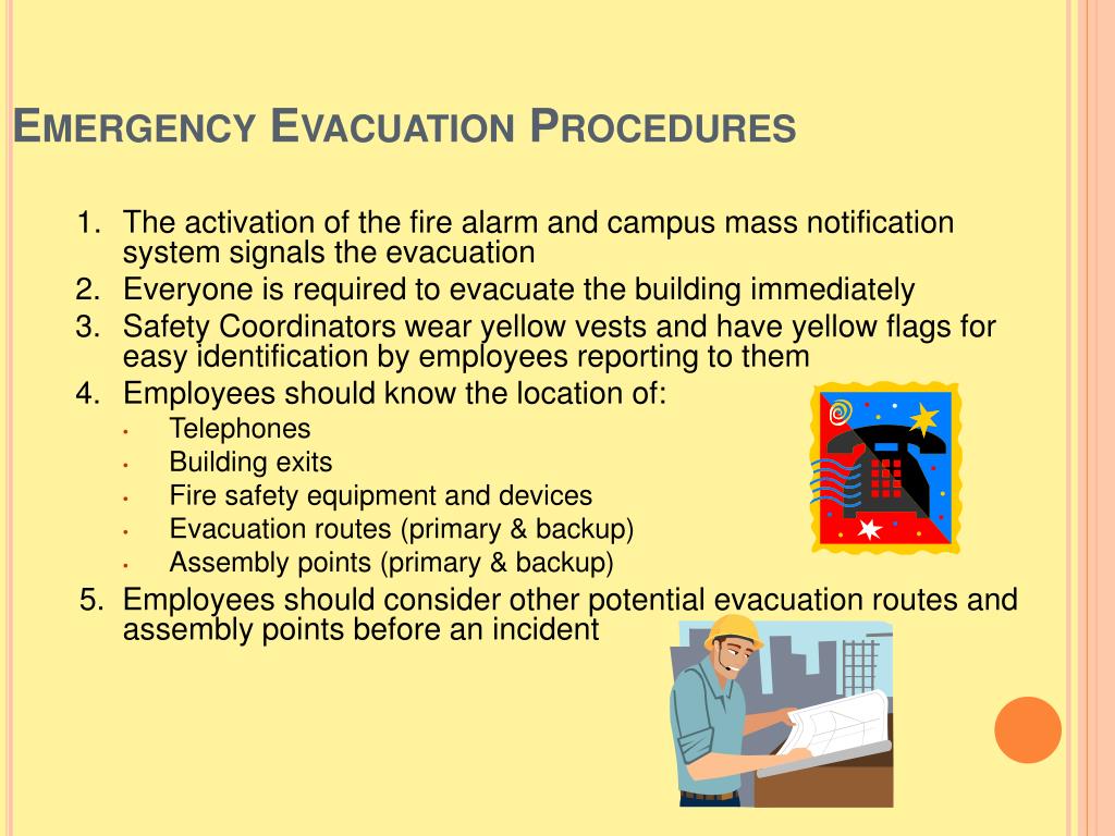 steps in evacuation essay