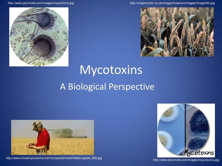 mycotoxins n.