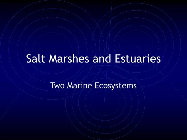 salt marsh ecosystem essay Salt marsh according to noaa marine ecosystem — (2008) smithsonian institution: ocean portal marine ecosystems research programme (uk. salt marsh ecosystem essay Salt marsh according to noaa marine ecosystem — (2008) smithsonian institution: ocean portal marine ecosystems research programme (uk.