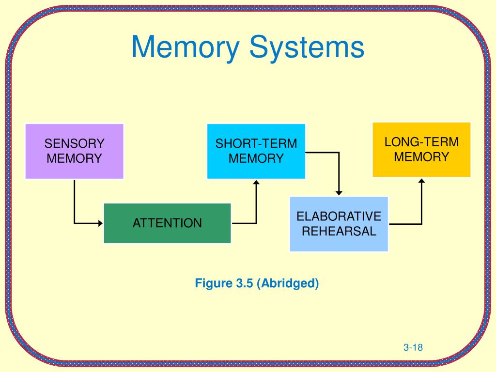 PPT - Learning and Memory Chapter 3 PowerPoint Presentation - ID:28053