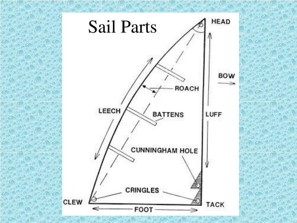 PPT - Sailing 101 PowerPoint Presentation, free download - ID:28058