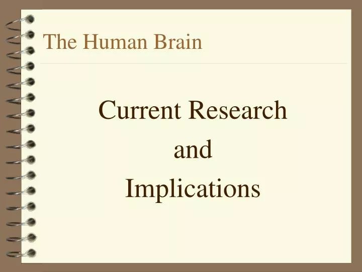 the human brain n.