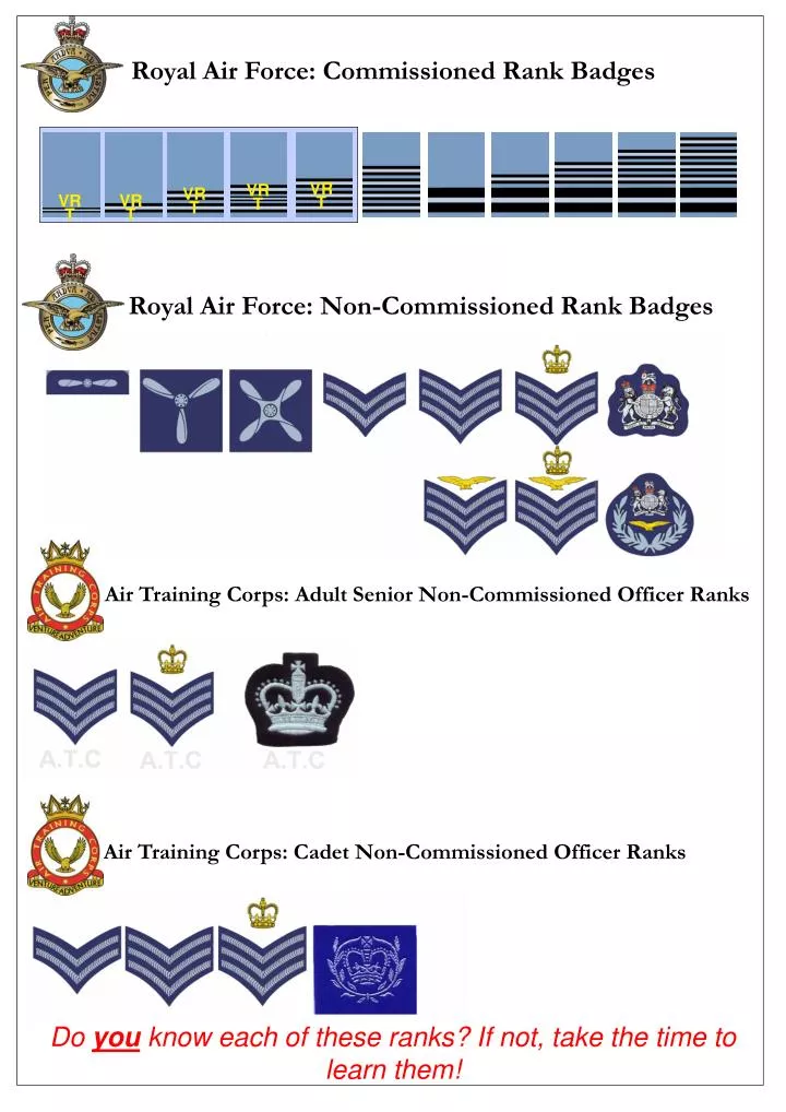 PPT - Royal Air Force: Commissioned Rank Badges PowerPoint Presentation ...