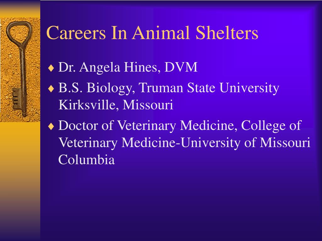 PPT - Careers In Animal Shelters PowerPoint Presentation, free download - ID:281340 PPT - Careers In Animal Shelters PowerPoint Presentation, free download - ID:281340