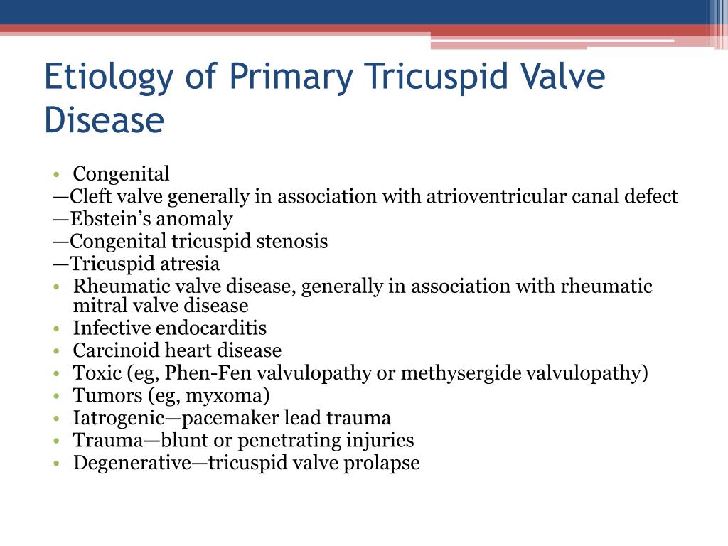 Ppt Tricuspid Valve Diseases Powerpoint Presentation Free Download