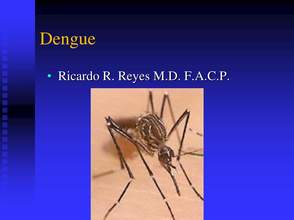 PPT Dengue PowerPoint Presentation Free Download ID 283216