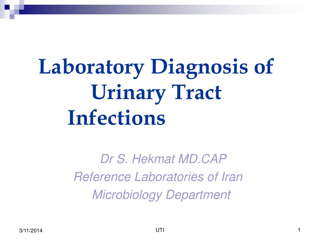 PPT Laboratory Diagnosis of Urinary Tract Infections PowerPoint