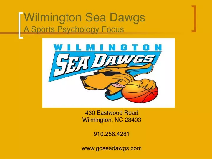 wilmington sea dawgs a sports psychology focus n.