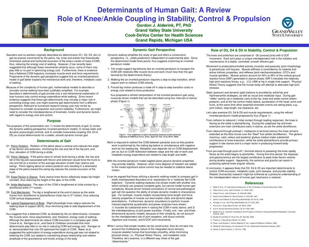 PPT - Determinants of Human Gait: A Review Role of Knee/Ankle ...