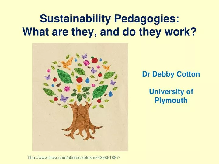 sustainability pedagogies what are they and do they work n.
