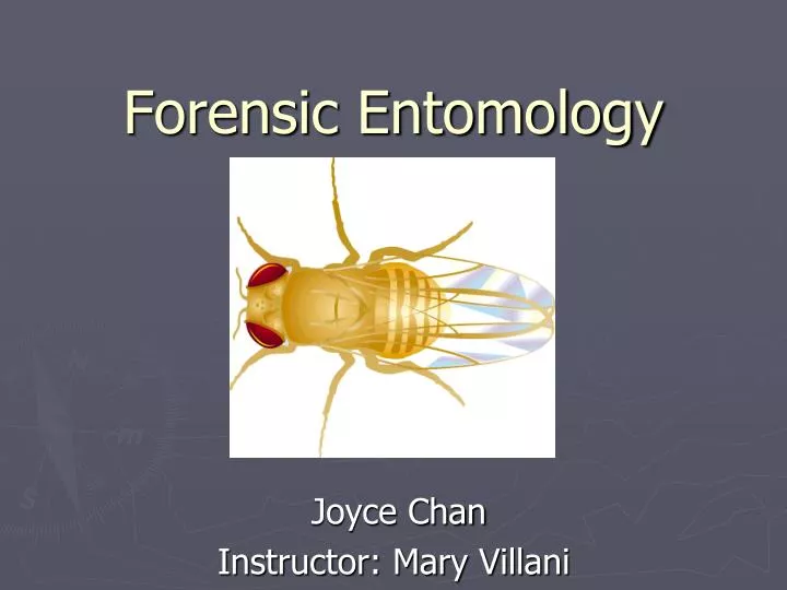 forensic entomology n.