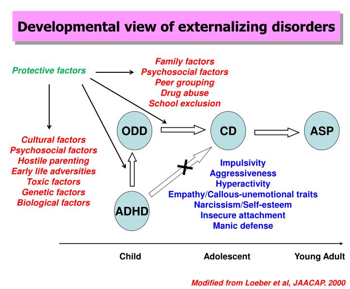 Externalizing Disorders: Everything You Need To Know – SQLE