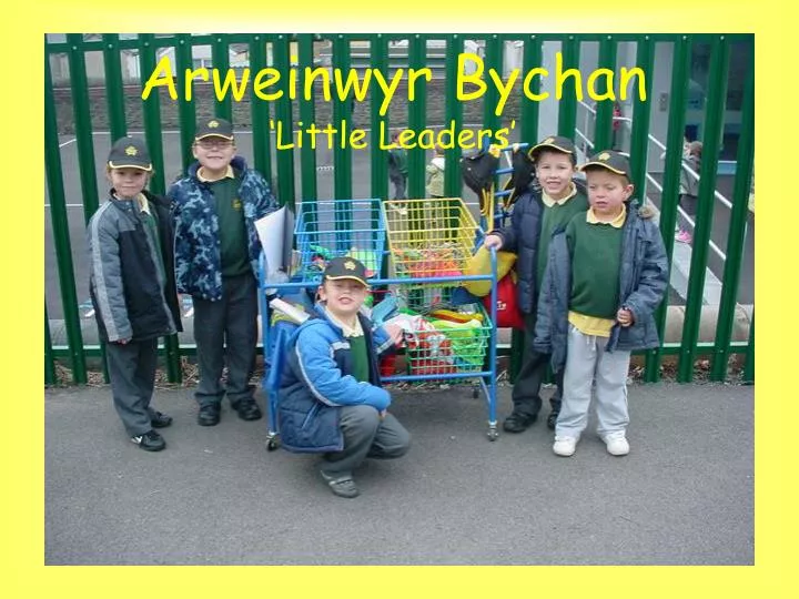 arweinwyr bychan little leaders n.