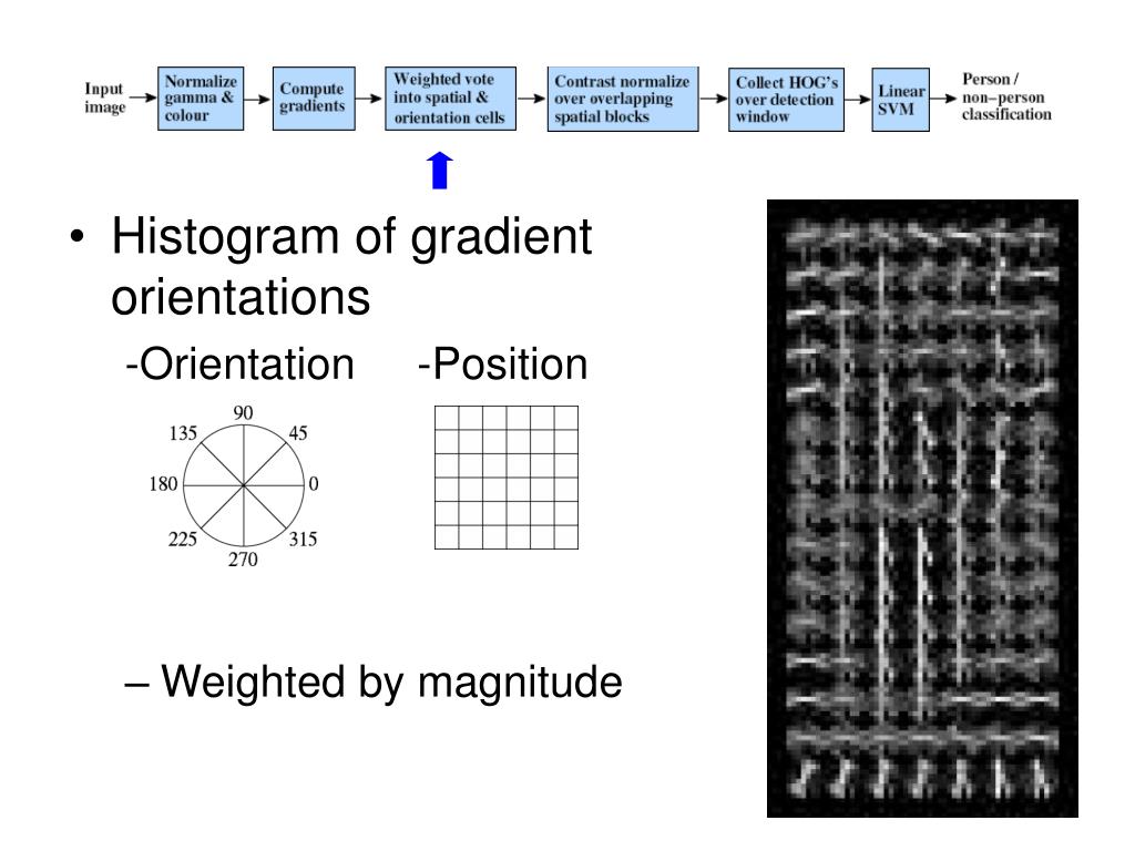 PPT Pedestrian Detection Histograms Of Oriented Gradients For Human PPT Pedestrian Detection Histograms Of Oriented Gradients For Human