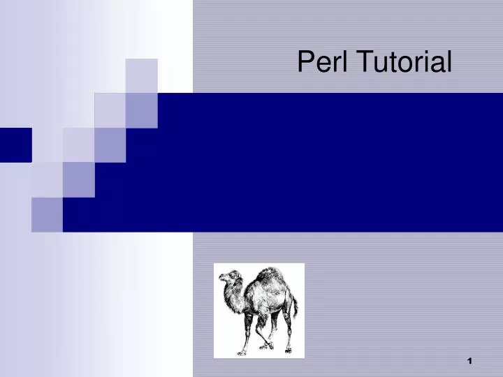 PPT - Perl Tutorial PowerPoint Presentation, free download - ID:28762