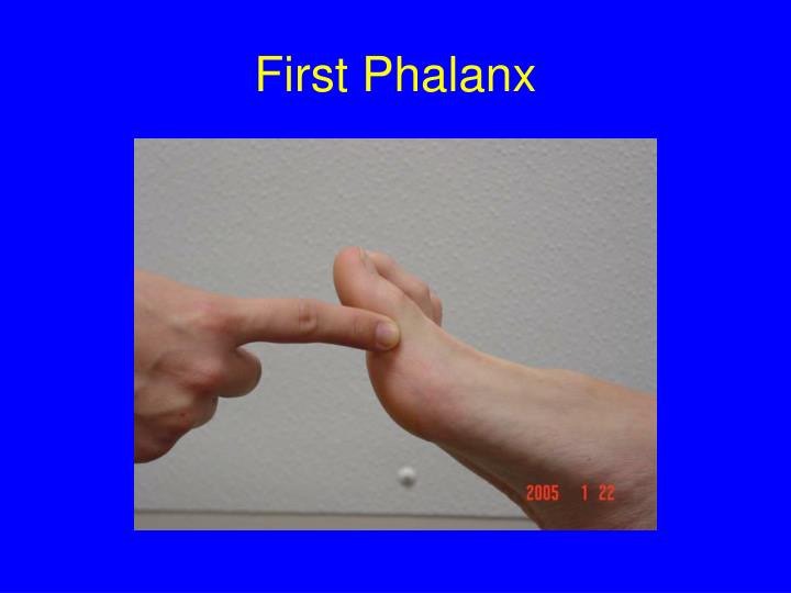 PPT - Foot Surface Anatomy PowerPoint Presentation - ID:288077