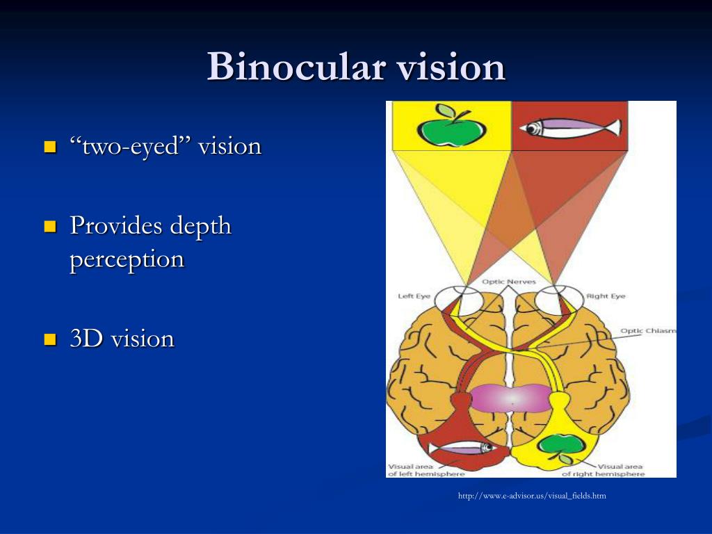 binocular vision dysfunction symptoms