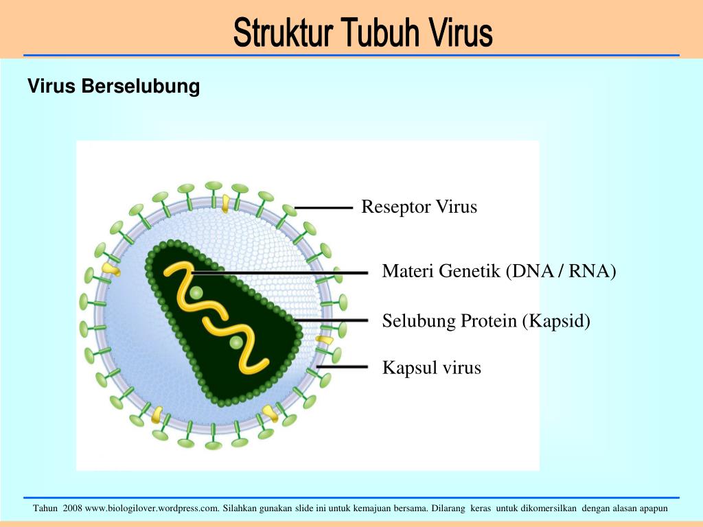 Virus check. All viruses are man made. Virus 10