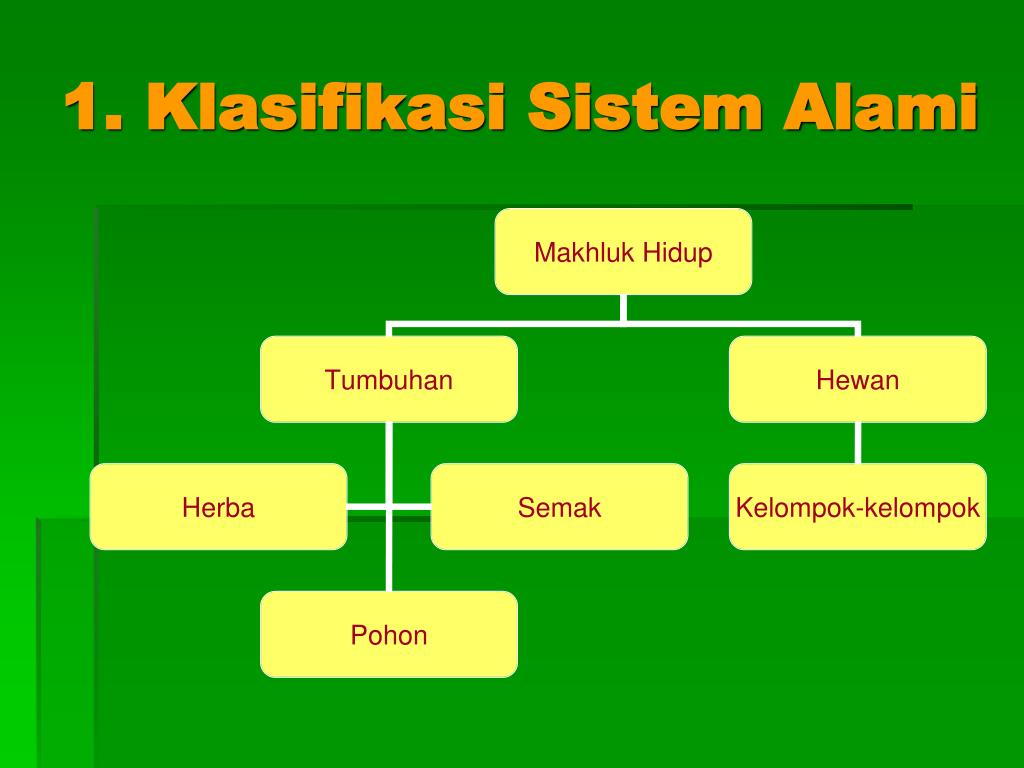 PPT KLASIFIKASI  PowerPoint Presentation free download 